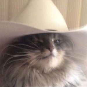 Meet your Posher, Lea